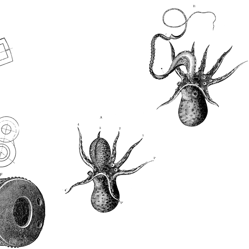 image tile